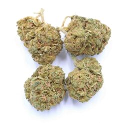Island Pink Kush Strain Small Buds - Indica Dominant Hybrid Island Pink Kush Strain Small Buds - Indica Dominant Hybrid