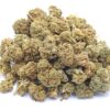Island Pink Kush Strain Small Buds - Indica Dominant Hybrid Island Pink Kush Strain Small Buds - Indica Dominant Hybrid
