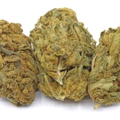 Jack Kush Strain Flower - Hybrid Jack Kush Strain Flower - Hybrid