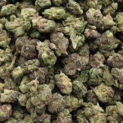 AK Cookies Strain AAA Small Buds - Sativa Dominant Hybrid AK Cookies Strain AAA Small Buds - Sativa Dominant Hybrid