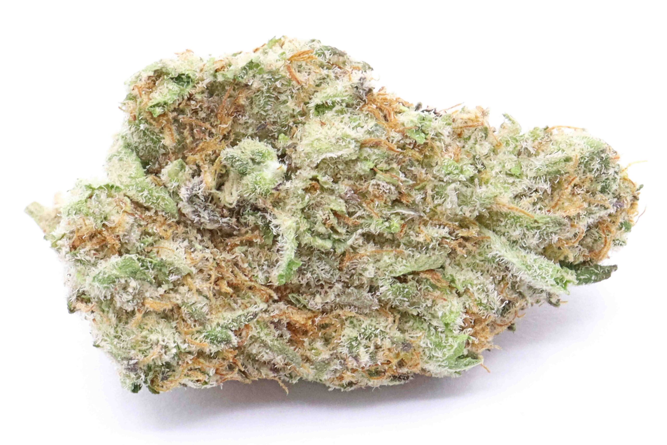 Lemon Tree Strain Flower - Hybrid