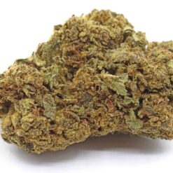 Northern Lights X Skunk Strain Flower - Indica Dominant Hybrid
