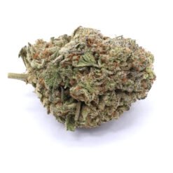 Northern Lights X Skunk Strain Flower - Indica Dominant Hybrid