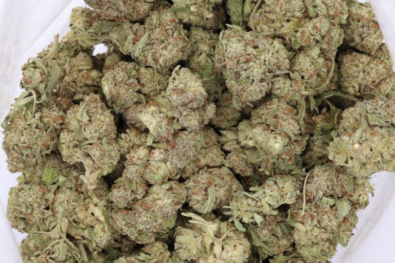 Northern Lights X Skunk