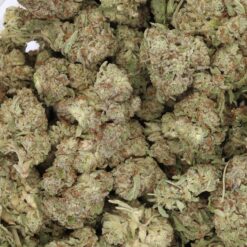 Northern Lights X Skunk Strain Flower - Indica Dominant Hybrid Northern Lights X Skunk Strain Flower - Indica Dominant Hybrid
