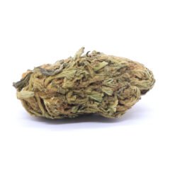 Tangie Strain - Greenhouse Flower - Hybrid