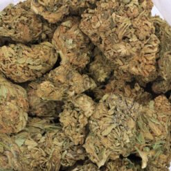 Tangie Strain - Greenhouse Flower - Hybrid