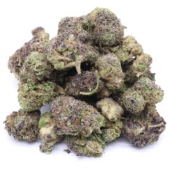 AK Cookies Strain AAA Small Buds - Sativa Dominant Hybrid AK Cookies Strain AAA Small Buds - Sativa Dominant Hybrid