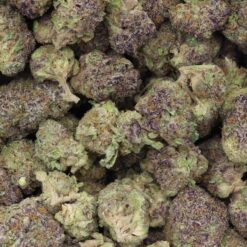 AK Cookies Strain AAA Small Buds - Sativa Dominant Hybrid AK Cookies Strain AAA Small Buds - Sativa Dominant Hybrid