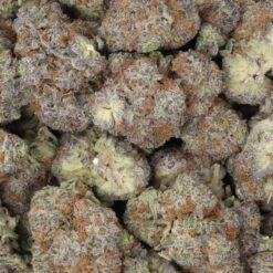 Shock Tart Strain Flower - Hybrid Shock Tart Strain Flower - Hybrid