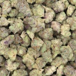 AK Cookies Strain AAA Small Buds - Sativa Dominant Hybrid AK Cookies Strain AAA Small Buds - Sativa Dominant Hybrid