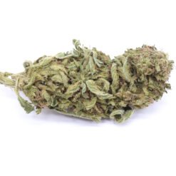 Tangie Strain - Greenhouse Flower - Hybrid
