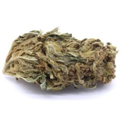 Tangie Strain - Greenhouse Flower - Hybrid