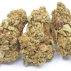 UK Psychosis Strain Greenhouse Flower - Sativa Dominant Hybrid UK Psychosis Strain Greenhouse Flower - Sativa Dominant Hybrid