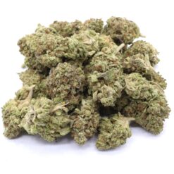 White Castle Strain Flower - Indica Dominant Hybrid White Castle Strain Flower - Indica Dominant Hybrid