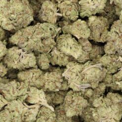 White Castle Strain Flower - Indica Dominant Hybrid White Castle Strain Flower - Indica Dominant Hybrid