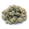 White Castle Strain Small Buds - Indica Dominant Hybrid