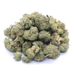 White Castle Strain Small Buds - Indica Dominant Hybrid
