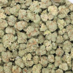 White Castle Strain Small Buds - Indica Dominant Hybrid