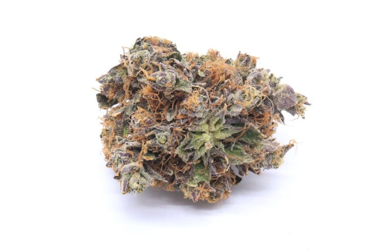 Animal Cookies