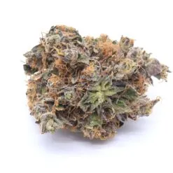 Animal Cookies Strain Flower - Indica Dominant Hybrid