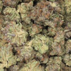Animal Cookies Strain Flower - Indica Dominant Hybrid
