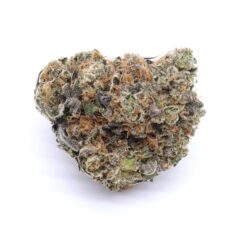 Red Congolese Strain Flower - Sativa