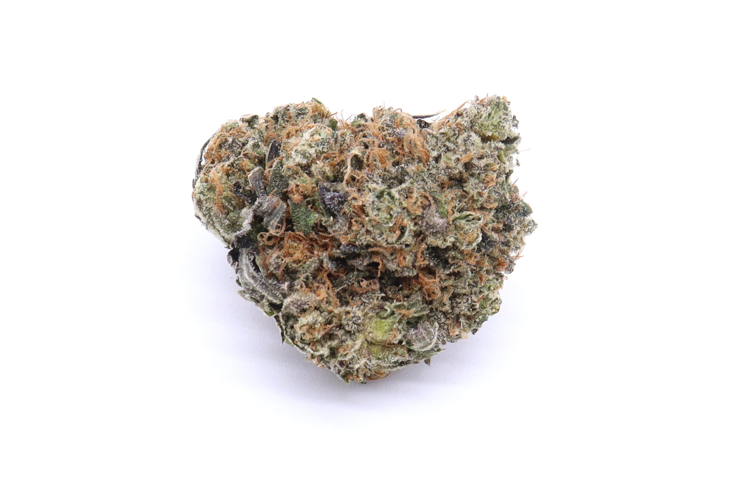 Red Congolese Strain Flower - Sativa