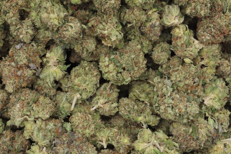 Black Cherry Punch