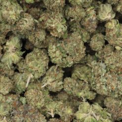 Red Congolese Strain Flower - Sativa Red Congolese Strain Flower - Sativa