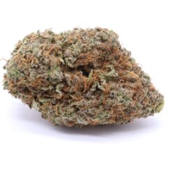 Red Congolese Strain Flower - Sativa Red Congolese Strain Flower - Sativa