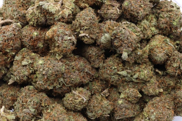 Bubblegum