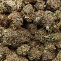 Red Congolese Strain Flower - Sativa Red Congolese Strain Flower - Sativa