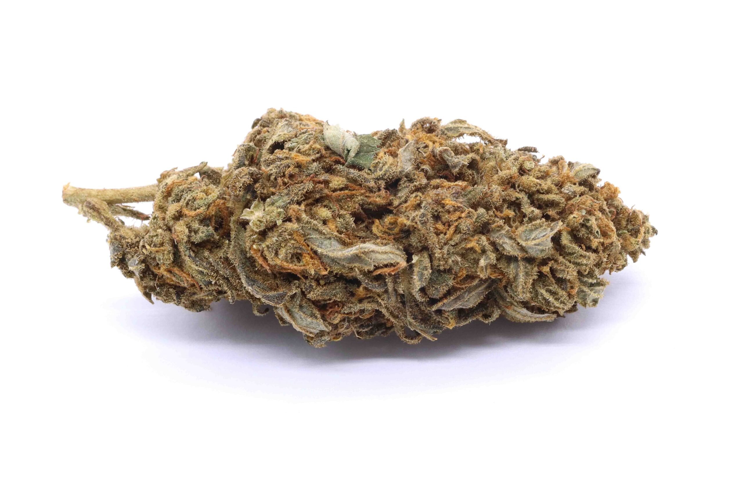 Cannalope Kush Strain - Greenhouse Flower - Sativa Dominant Hybrid