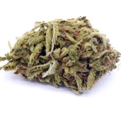 Cannalope Kush Strain - Greenhouse Flower - Indica Dominant Hybrid
