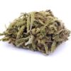 Cannalope Kush Strain - Greenhouse Flower - Indica Dominant Hybrid Cannalope Kush Strain - Greenhouse Flower - Indica Dominant Hybrid