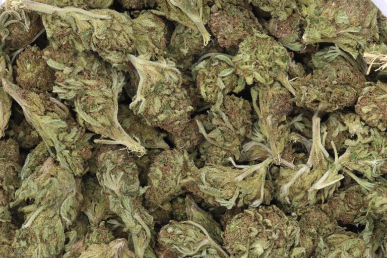 Cannalope Kush
