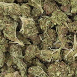 Cannalope Kush Strain - Greenhouse Flower - Indica Dominant Hybrid Cannalope Kush Strain - Greenhouse Flower - Indica Dominant Hybrid