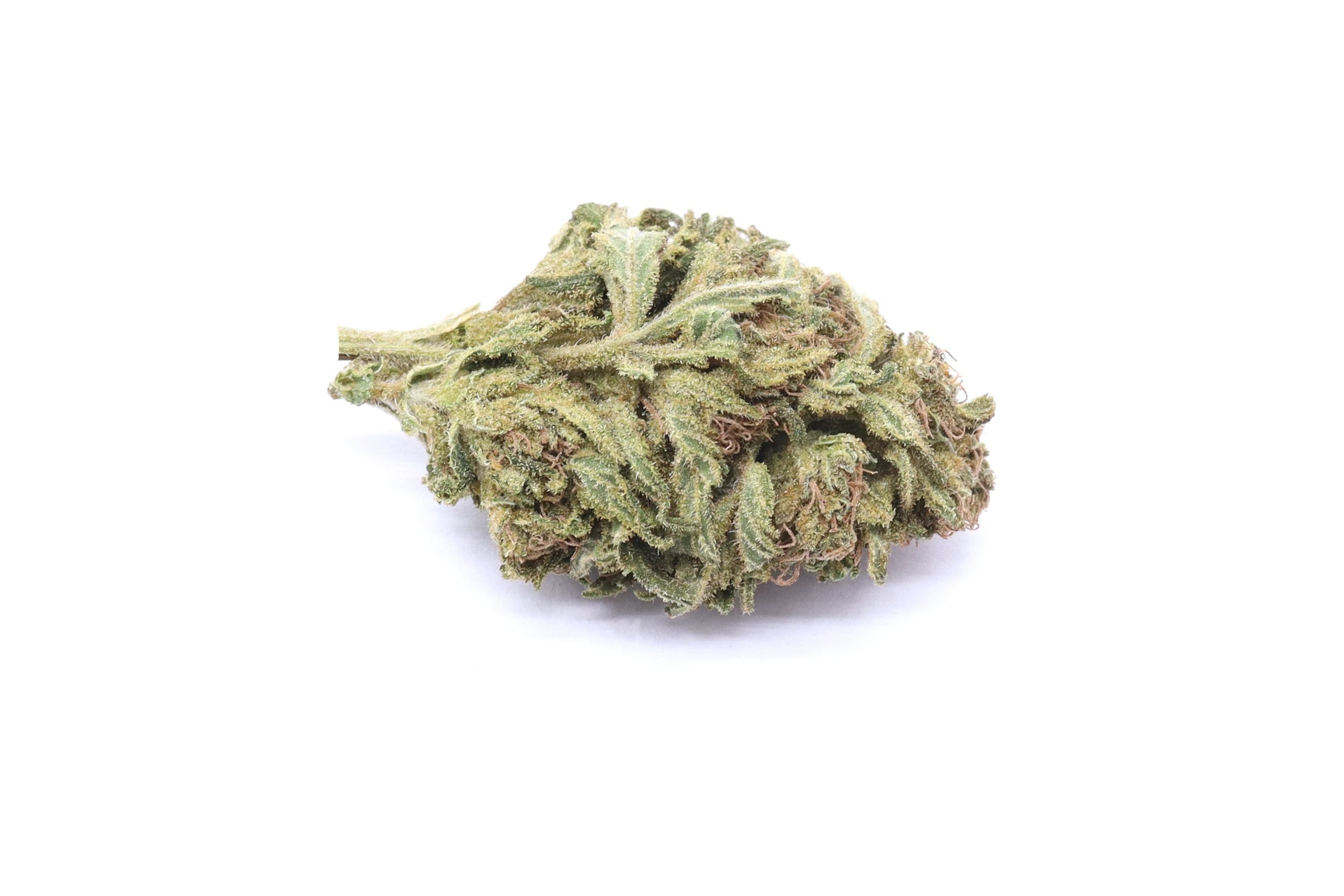 Cannalope Kush Strain - Greenhouse Flower - Sativa Dominant Hybrid