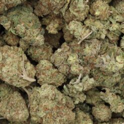 Red Congolese Strain Flower - Sativa Red Congolese Strain Flower - Sativa