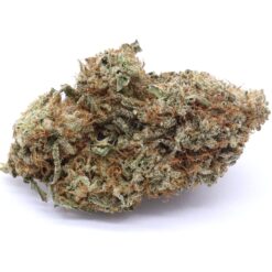 GMO Cookies Strain Flower - Indica Dominant Hybrid GMO Cookies Strain Flower - Indica Dominant Hybrid