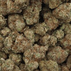 GMO Cookies Strain Flower - Indica Dominant Hybrid GMO Cookies Strain Flower - Indica Dominant Hybrid