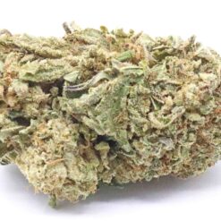 GMO Cookies Strain Flower - Indica Dominant Hybrid