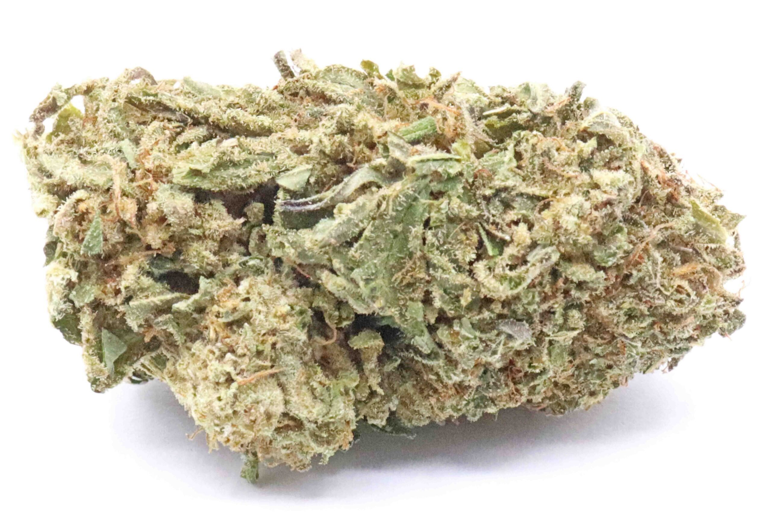 GMO Cookies Strain Flower - Indica Dominant Hybrid