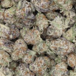 Grape Ape Strain AAA Small Buds - Indica Dominant Hybrid Grape Ape Strain AAA Small Buds - Indica Dominant Hybrid
