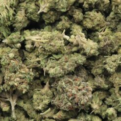 King's Kush Strain Flower - Indica Dominant Hybrid