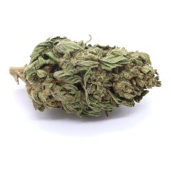 King's Kush Strain Greenhouse Flower - Indica Dominant Hybrid