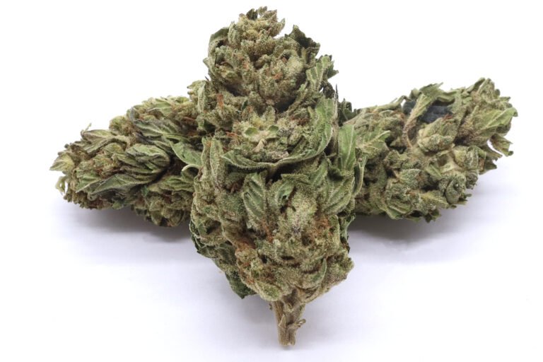 King's Kush