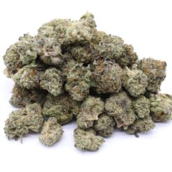 Lemon Haze Strain AAAA Small Buds - Sativa Dominant Hybrid Lemon Haze Strain AAAA Small Buds - Sativa Dominant Hybrid