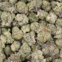Lemon Haze Strain AAAA Small Buds - Sativa Dominant Hybrid Lemon Haze Strain AAAA Small Buds - Sativa Dominant Hybrid